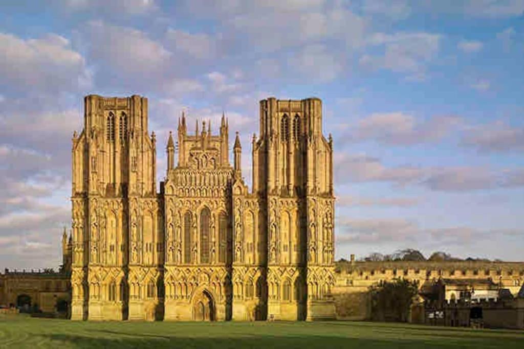 Photo of Others in Street