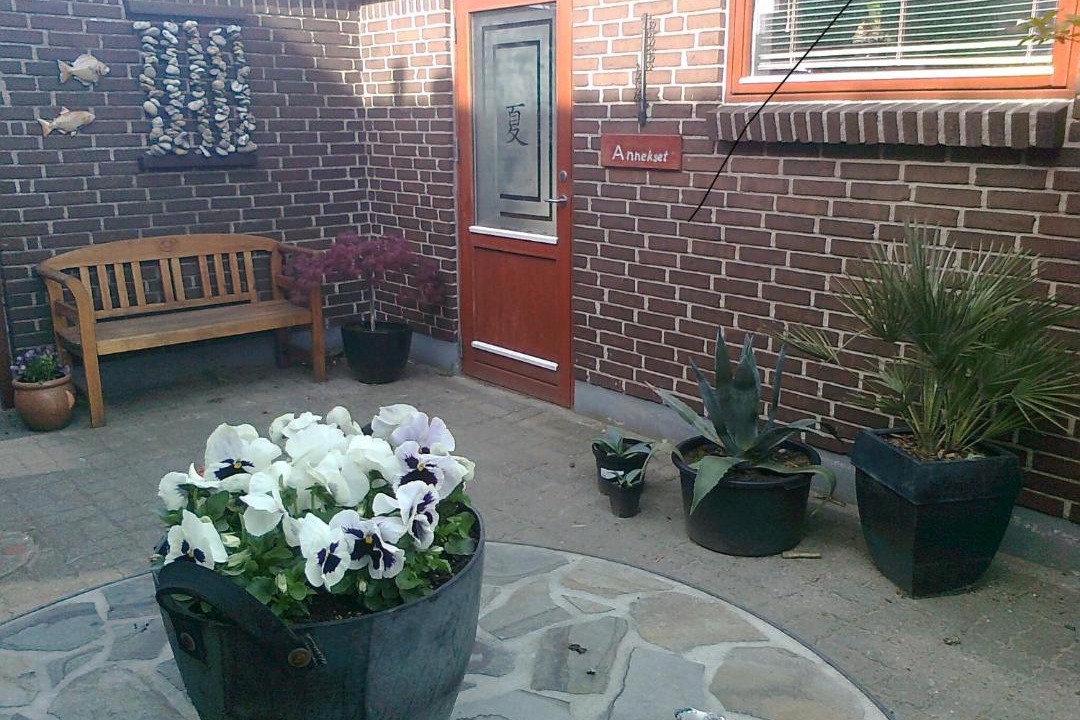 Photo of Others in Skagen