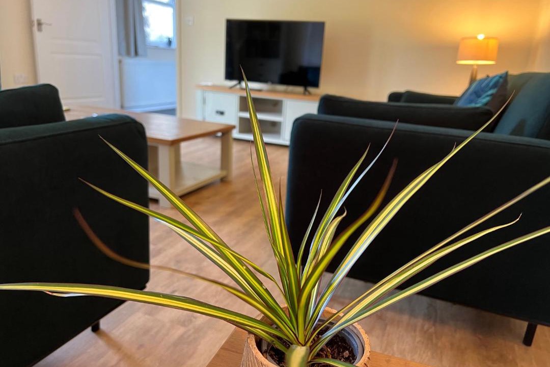 Photo of Livingroom in Twywell