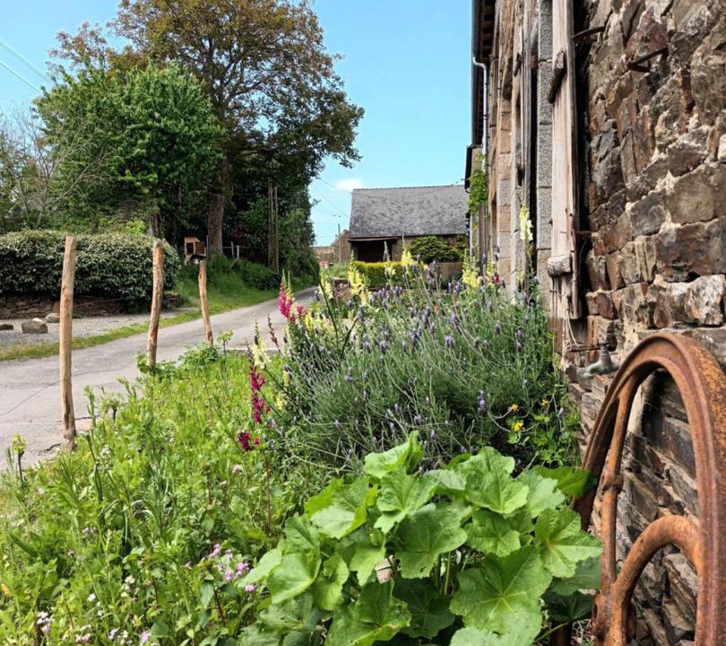 Photo of Others in Sougeal