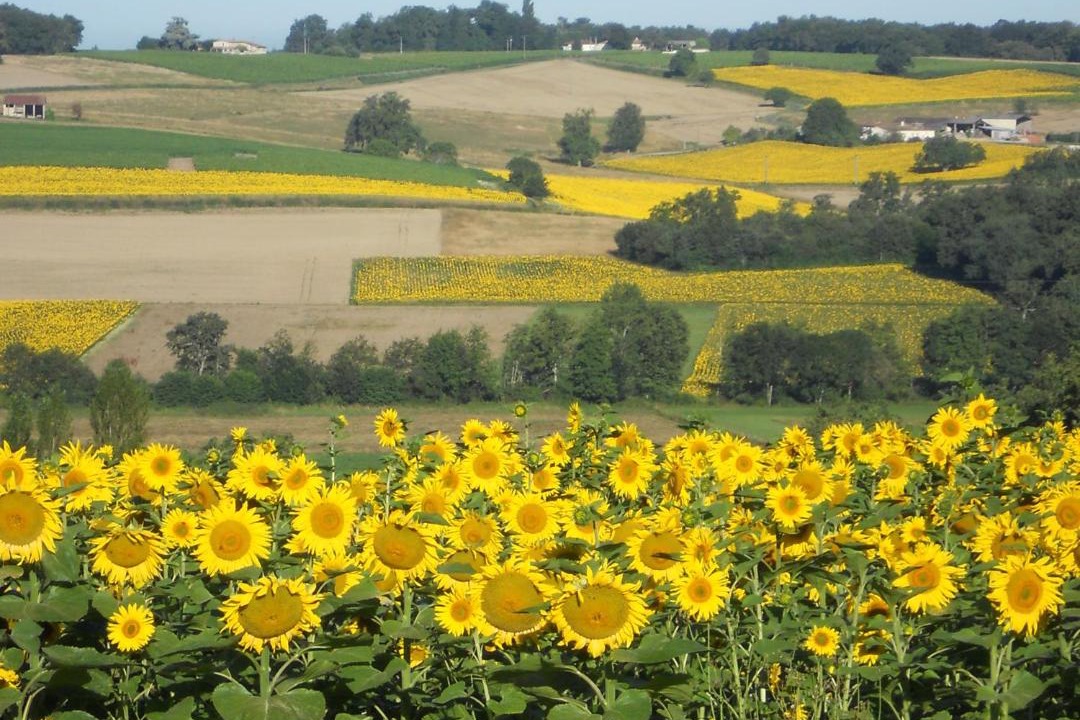 Photo of Others in Sousmoulins