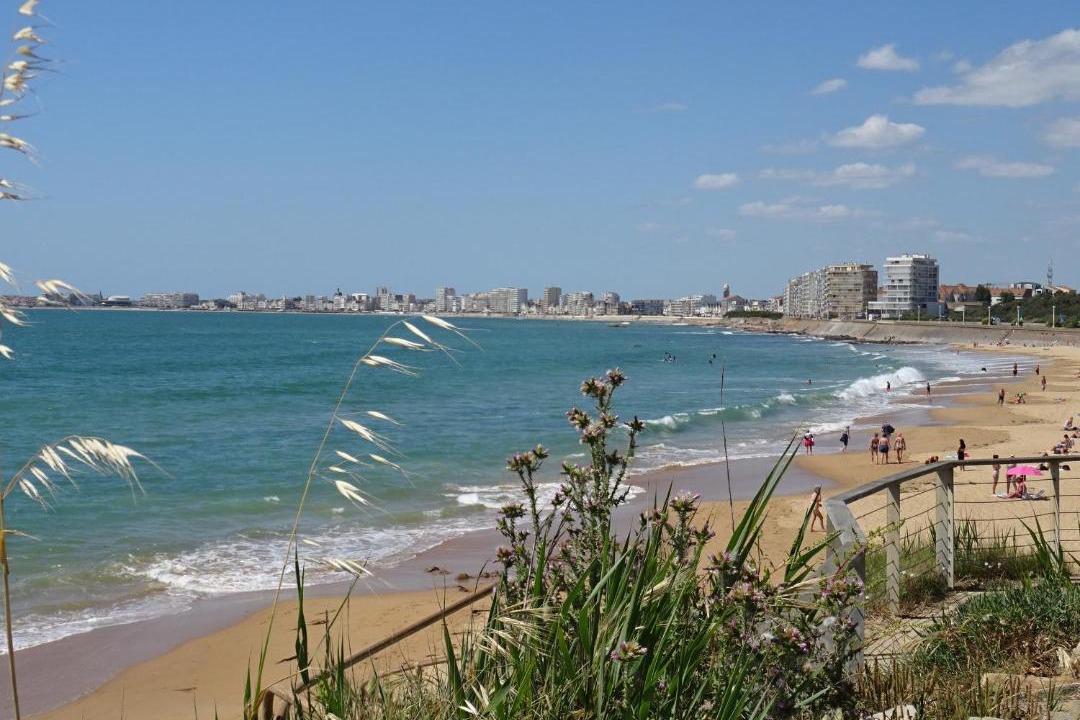Photo of Others in Chateau-d'Olonne