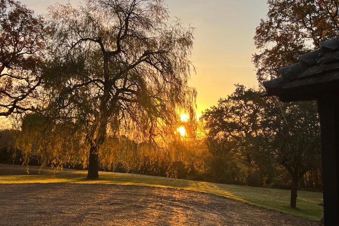 Photo of Others in Cranbrook