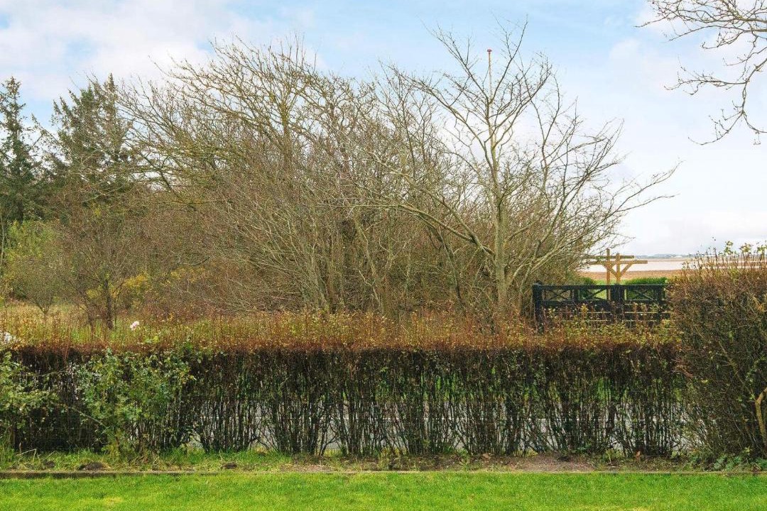 Photo of Outdoor in Tim