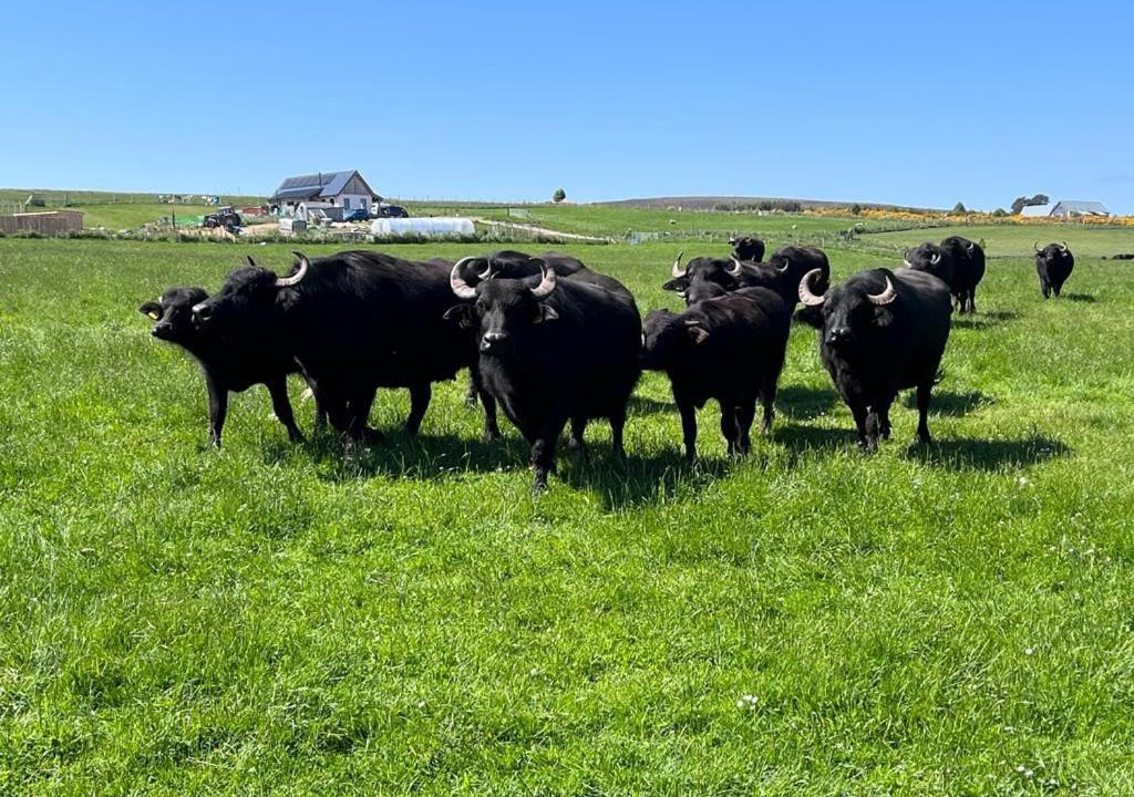 Photo of Others in Forres