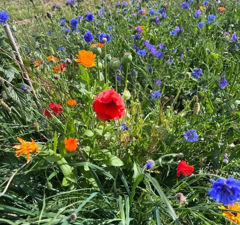 Photo of Others in Forres