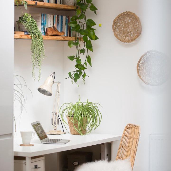 Photo of Livingroom in Crouch End