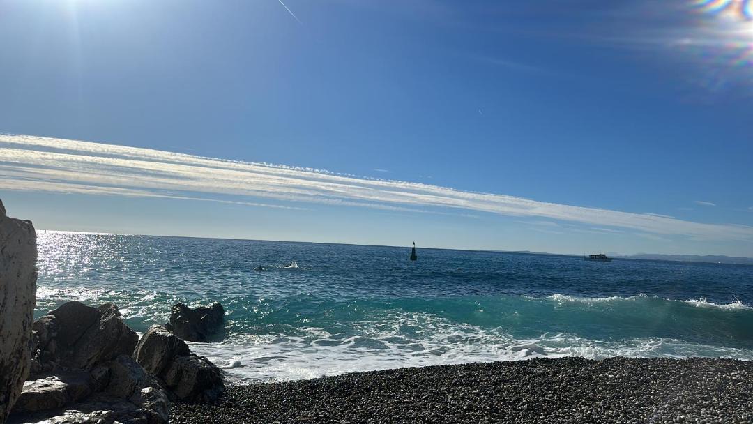 Photo of Others in Lazaret