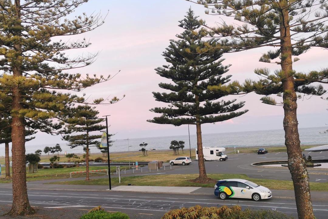 Photo of Others in Napier