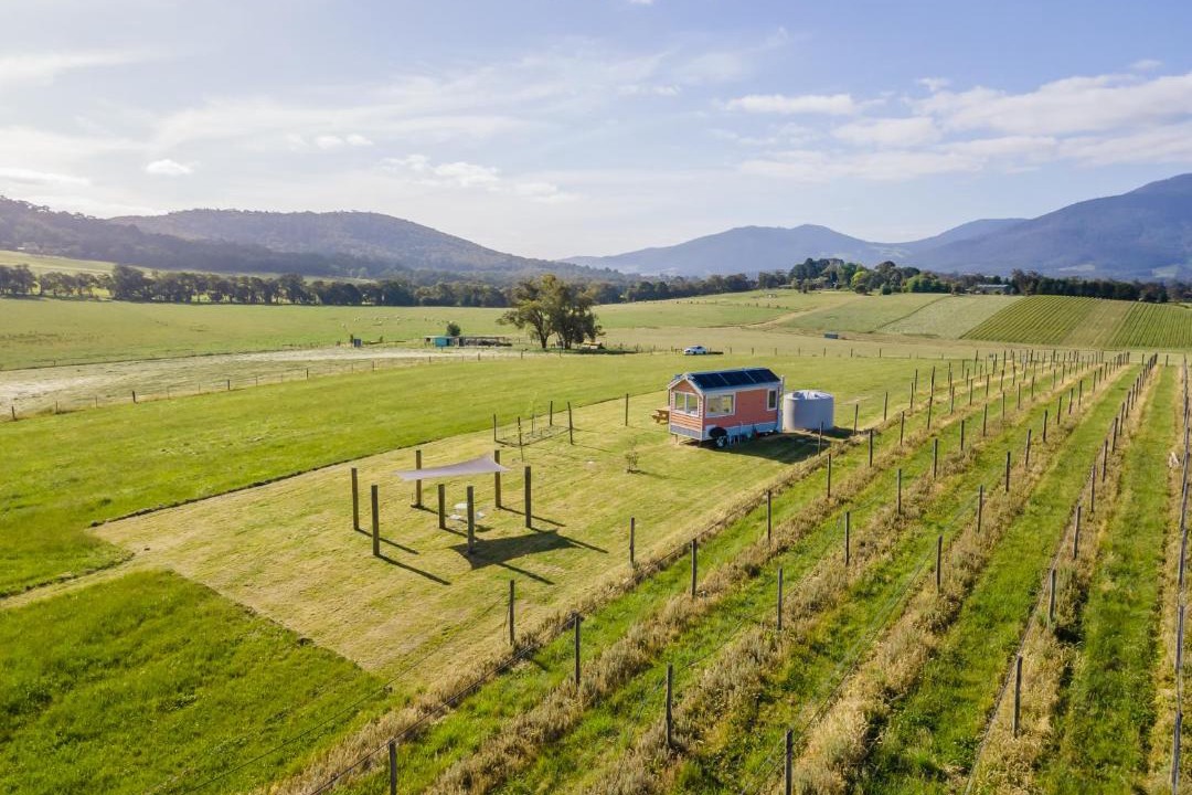 Photo of Others in Yarra Junction