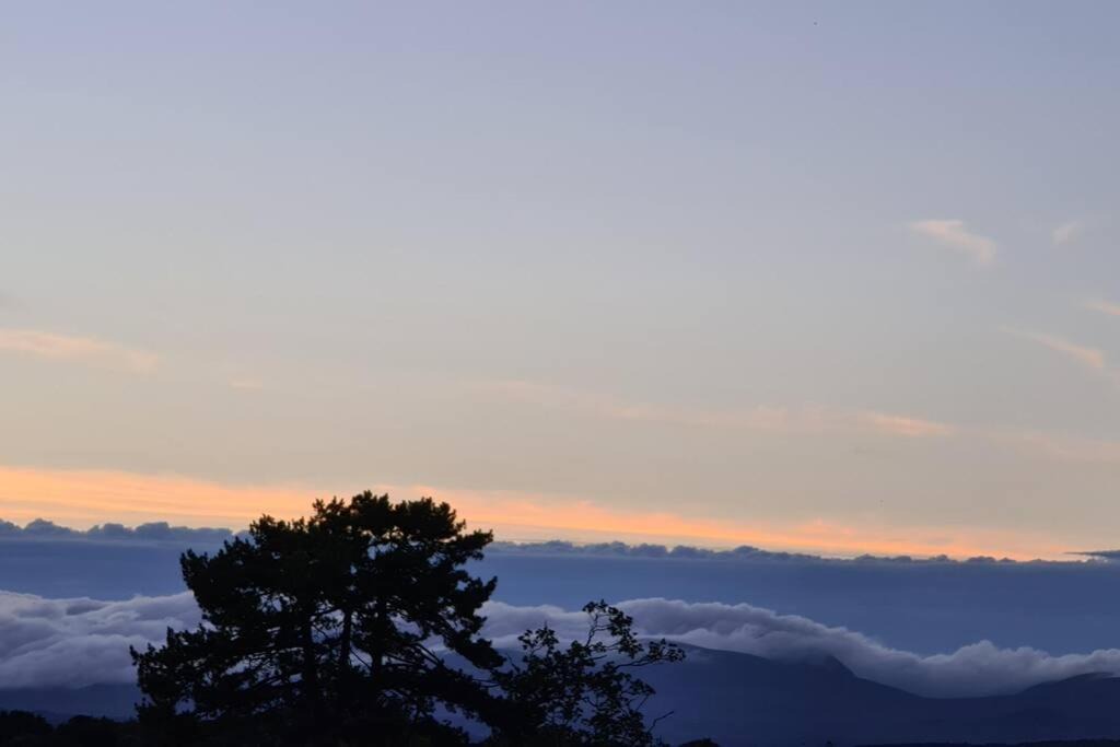 Photo of Others in Kirkhill