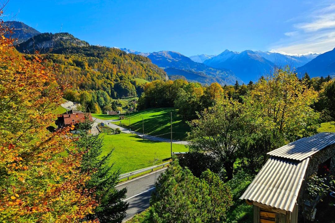 Photo of Others in Meiringen