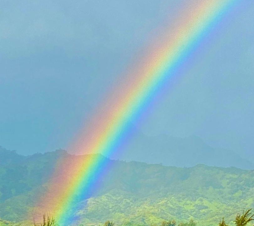 Photo of Others in Princeville