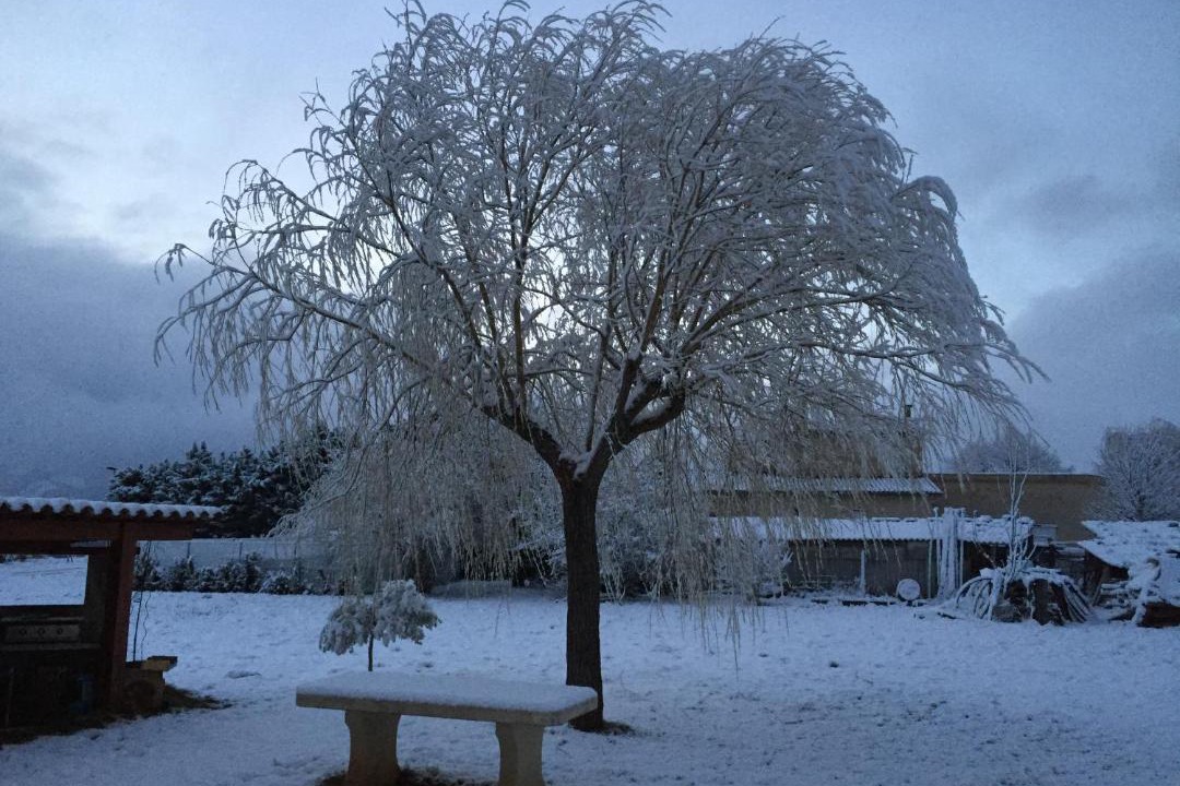 Photo of Others in Mison