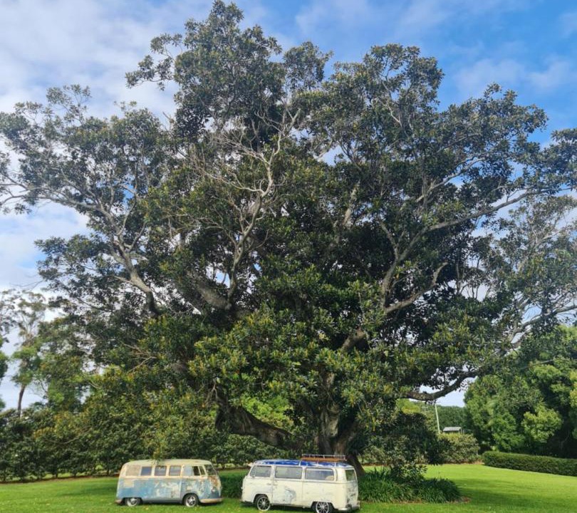 Photo of Others in Bangalow