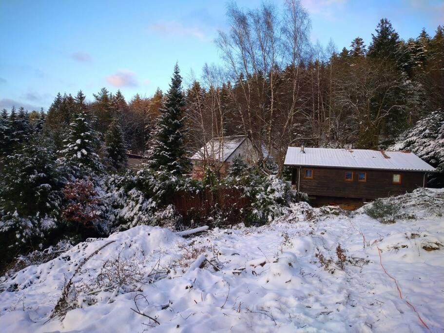 Photo of Others in Dabo