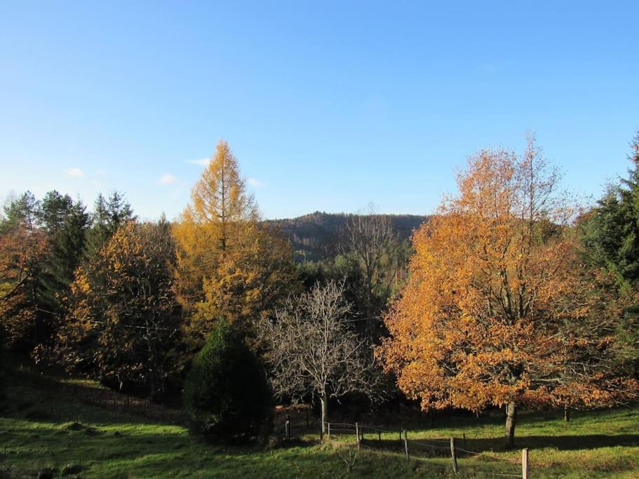 Photo of Outdoor in Dabo