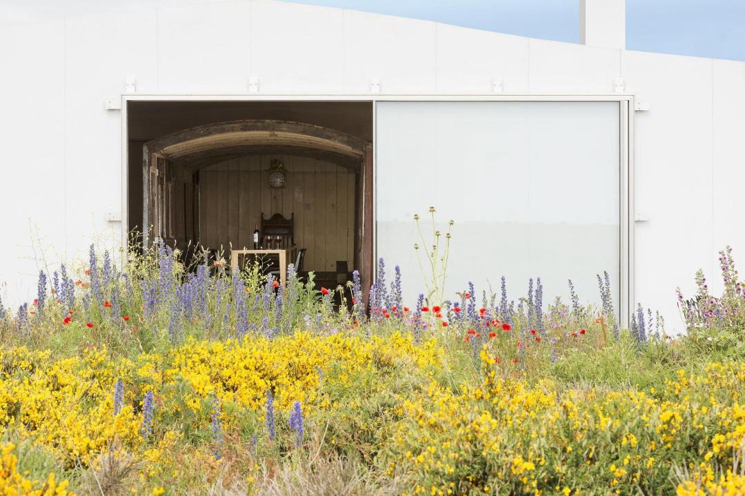 Photo of Others in Dungeness