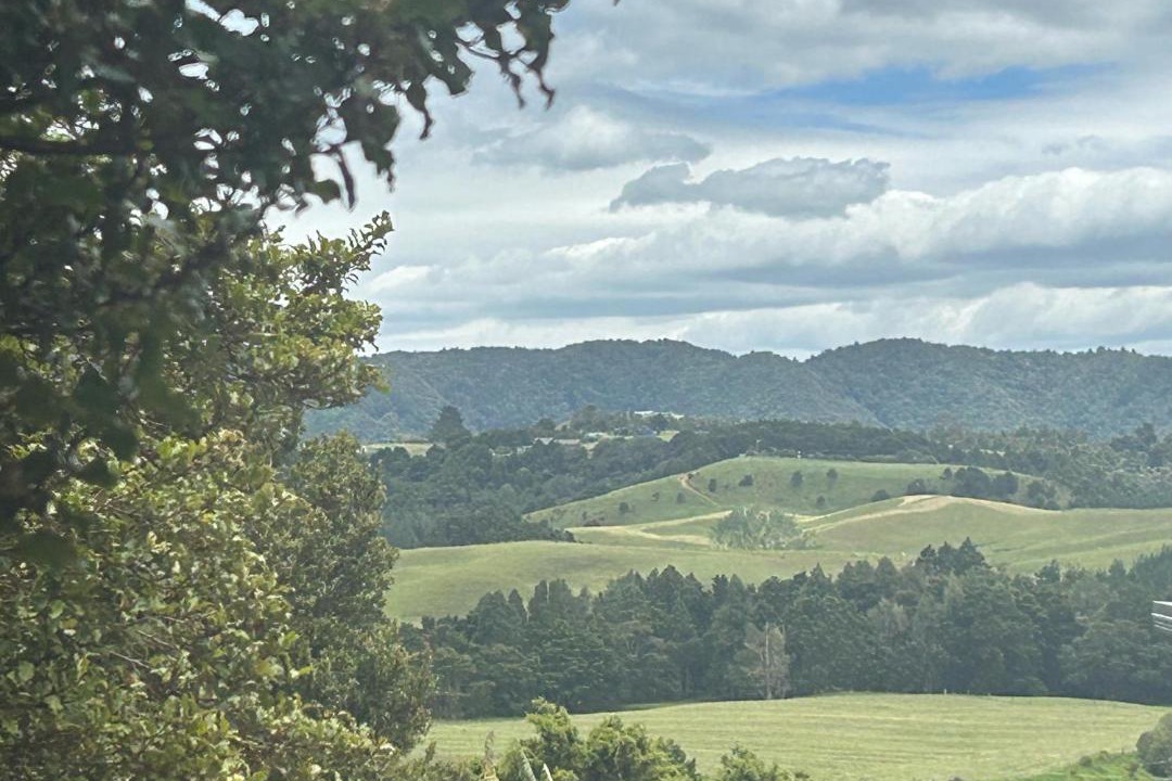 Photo of Others in Waipu