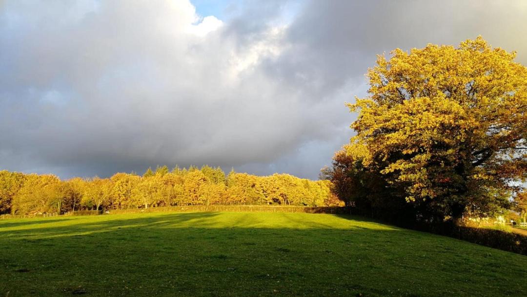 Photo of Others in Vendenesse-les-Charolles