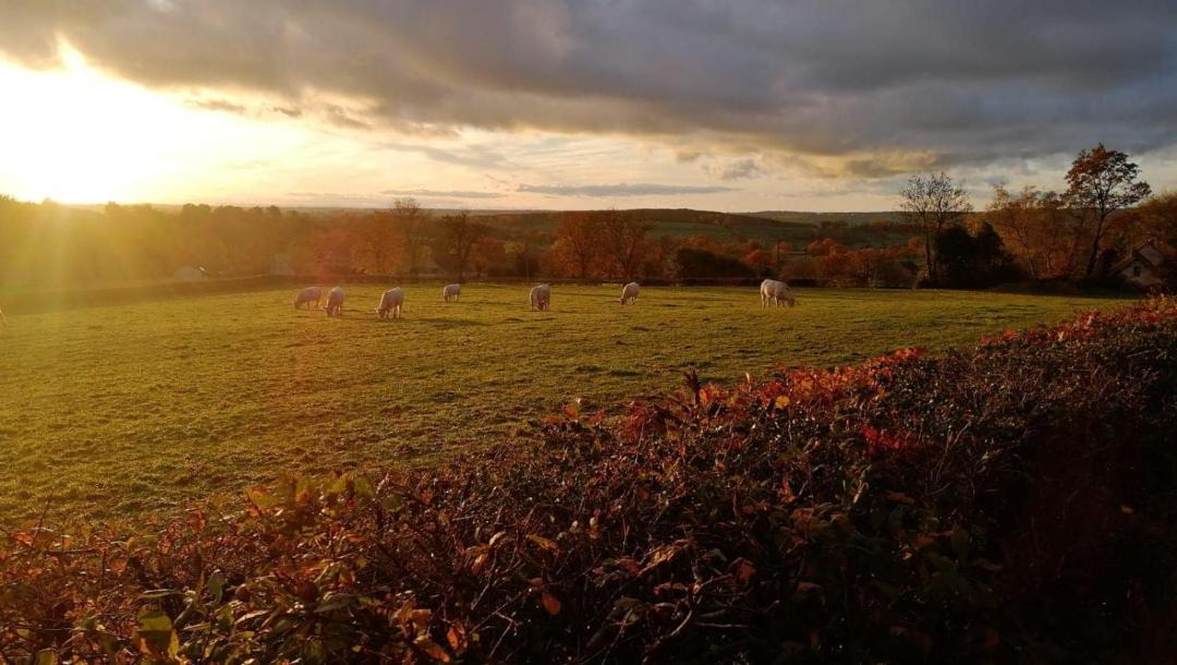 Photo of Others in Vendenesse-les-Charolles