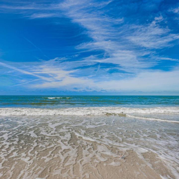Photo of Others in Indian Shores