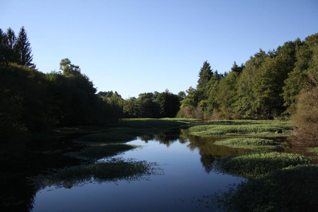 Photo of Others in Champniers-et-Reillac