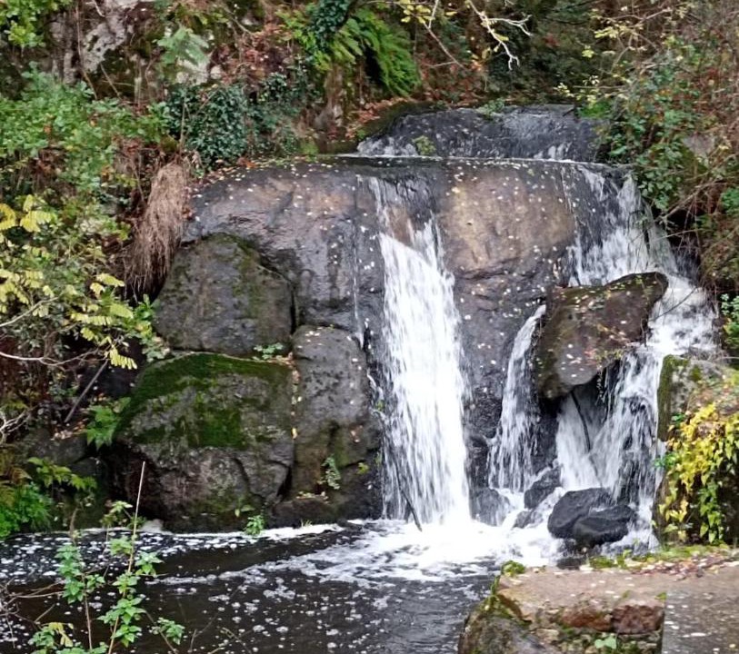 Photo of Others in Champniers-et-Reillac