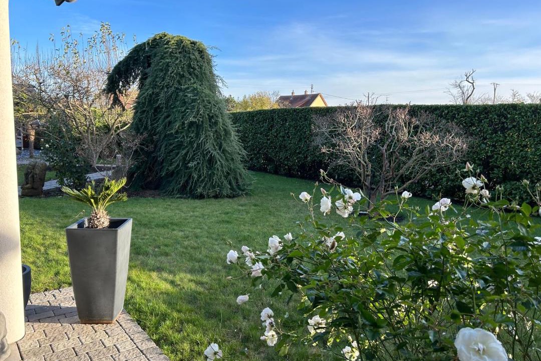 Photo of Others in Ensisheim