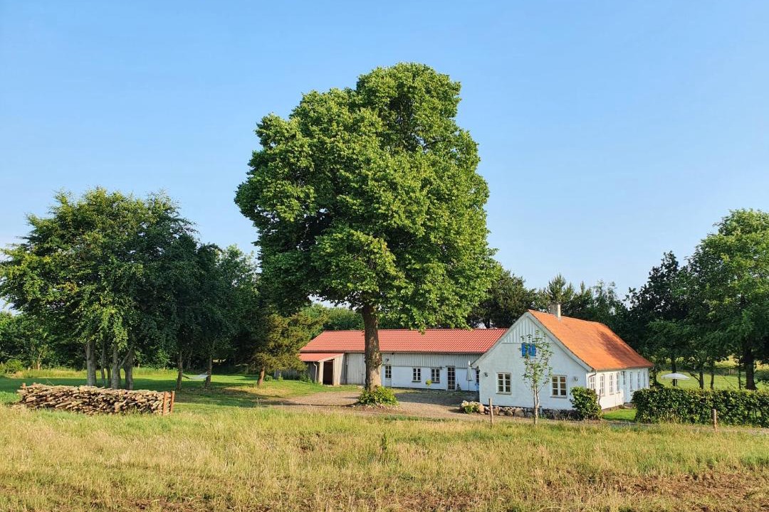 Photo of Buildings in Rodding