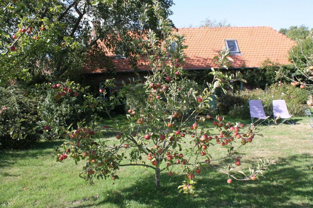 Photo of Others in Varengeville-sur-Mer