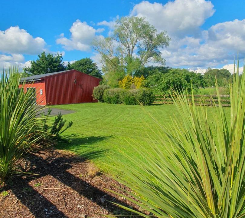 Photo of Others in Matamata