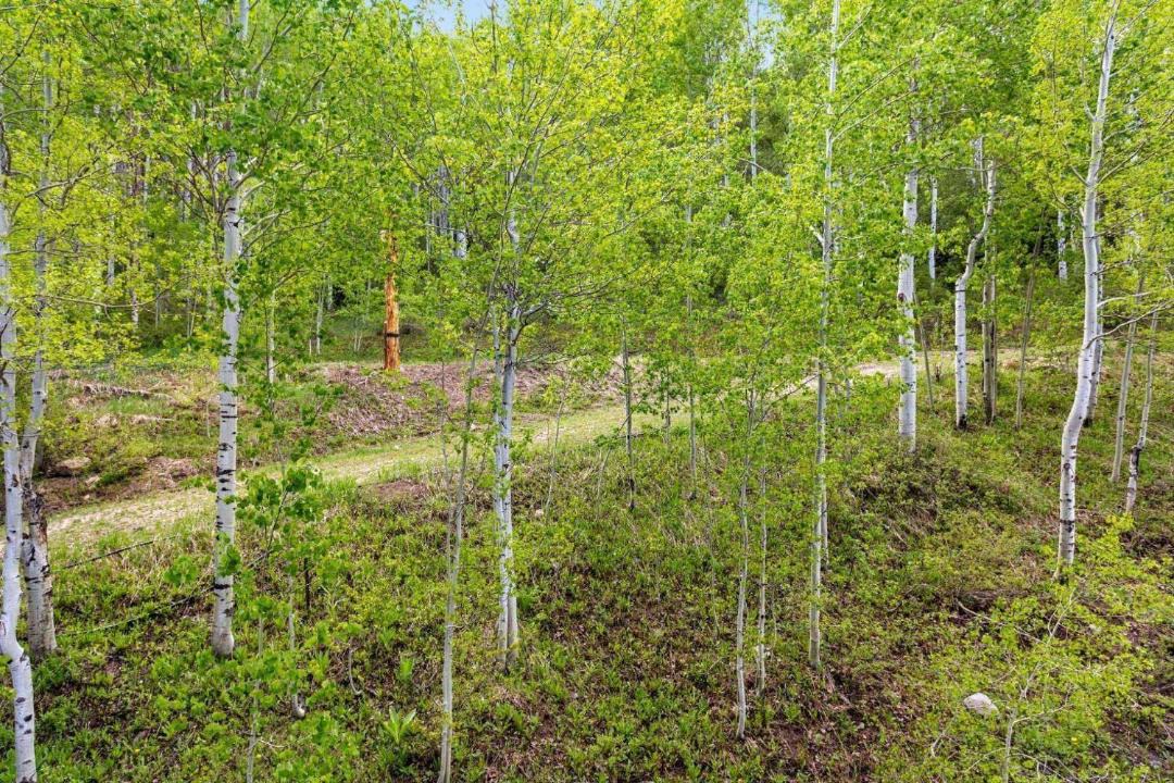 Photo of Outdoor in Beaver Creek