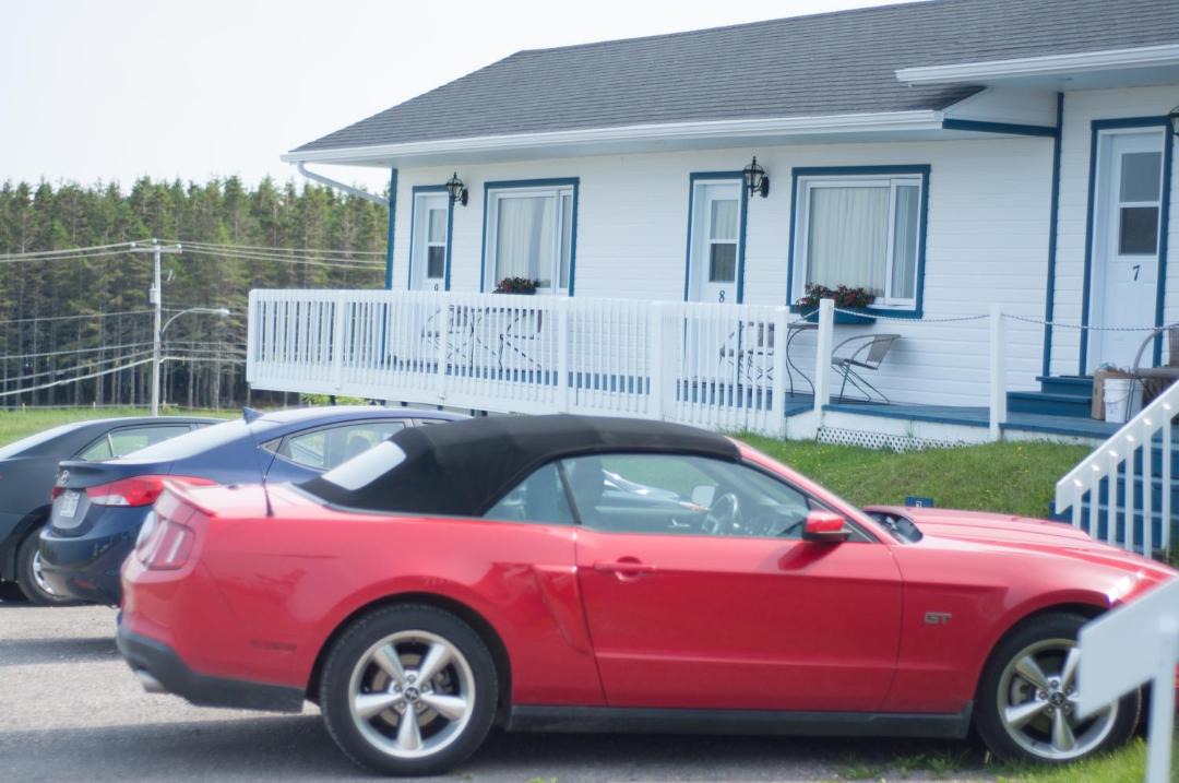 Photo of Others in Perce