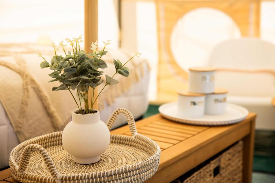 Photo of Others in Foxton Beach