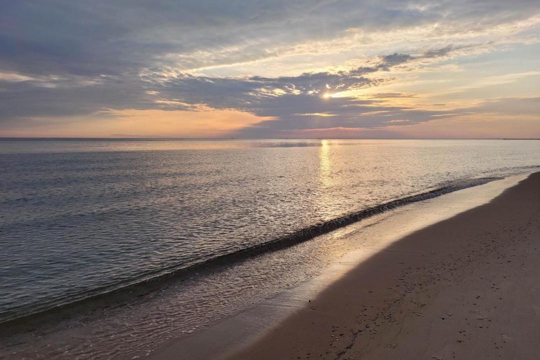 Photo of Outdoor in East Ocean View