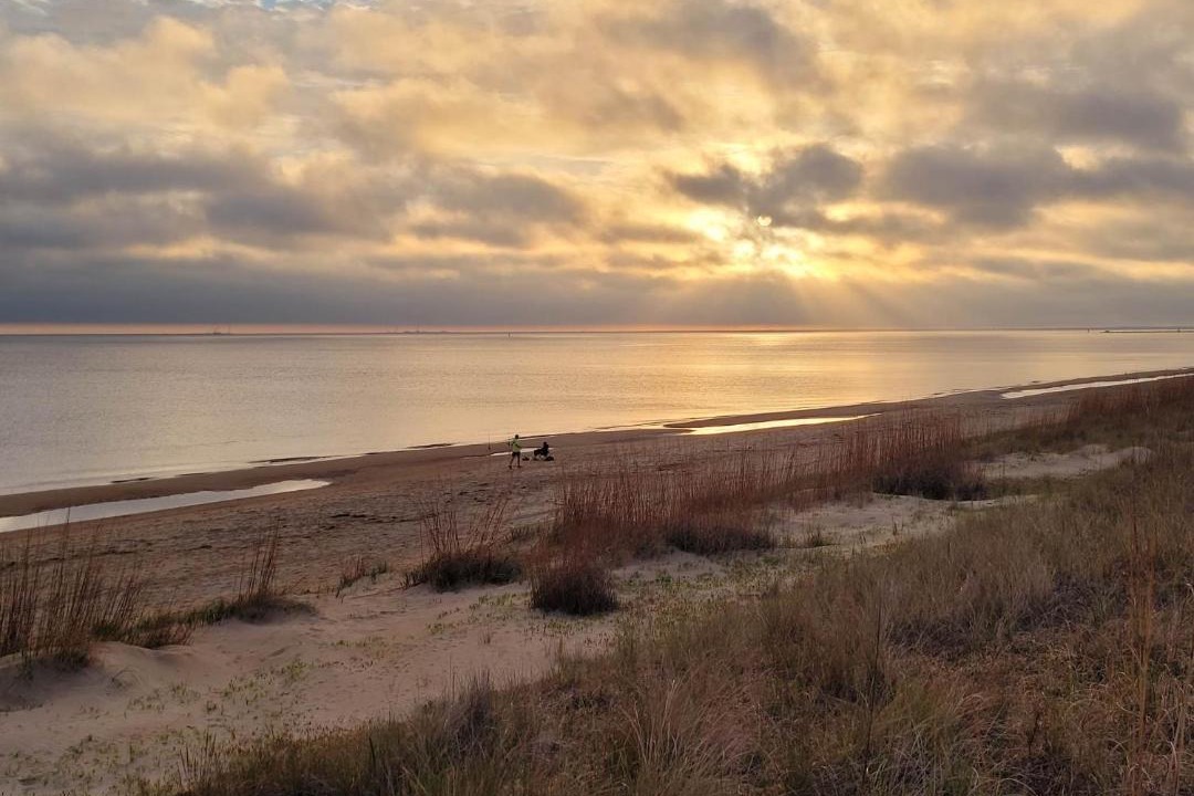 Photo of Outdoor in East Ocean View