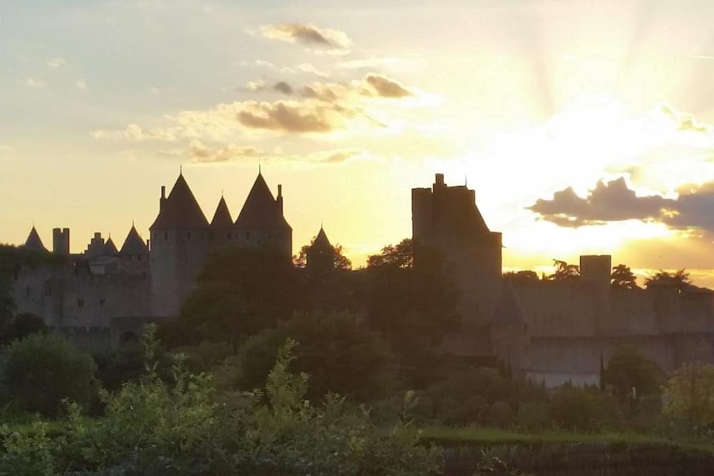 Photo of Others in Montreal