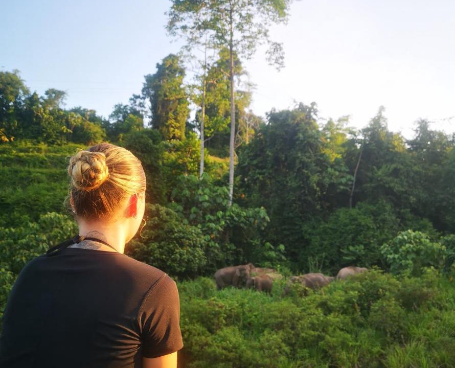 Photo of Others in Kuala Tahan