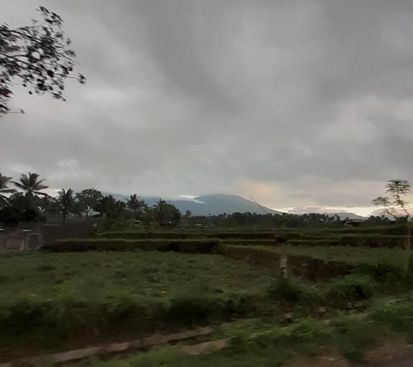 Photo of Others in Kecamatan Pringgasela