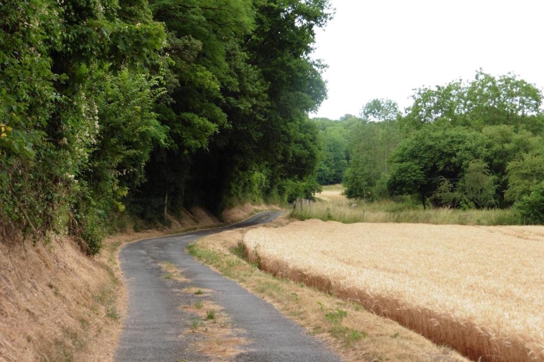 Photo of Outdoor in Chivres-Val