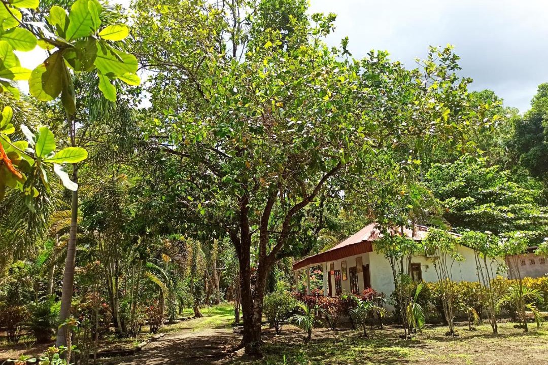 Photo of Others in Marinsow