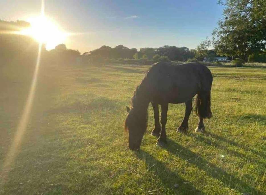 Photo of Others in Spalding