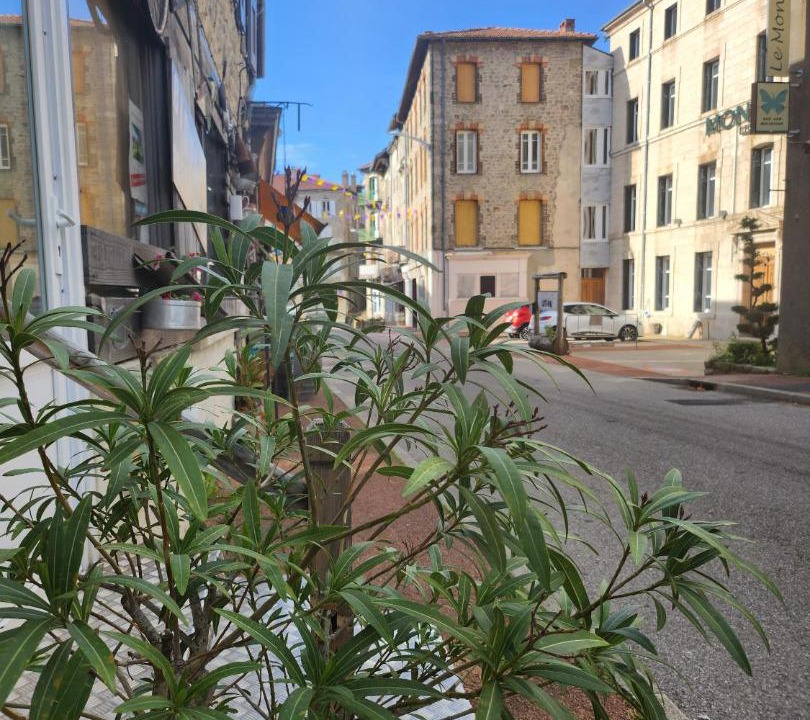 Photo of Buildings in Lalouvesc