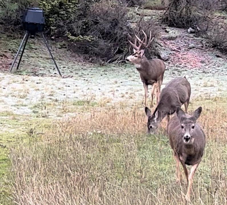 Photo of Others in South Cle Elum