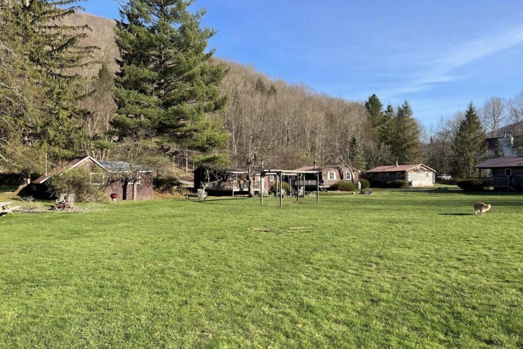 Photo of Others in Oliverea