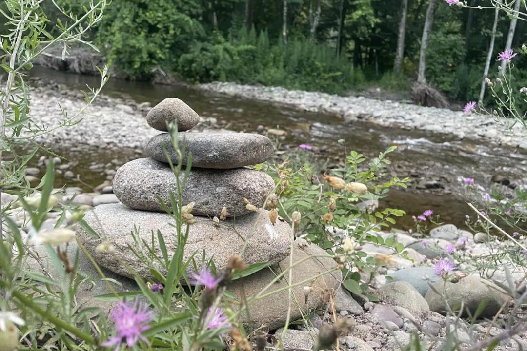 Photo of Others in Oliverea