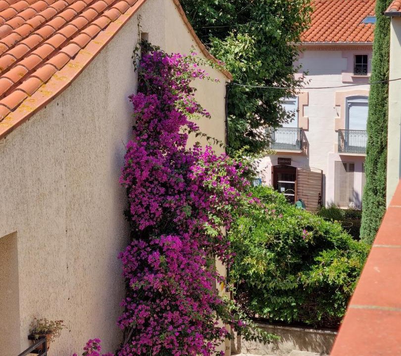 Photo of Others in Laroque-des-Alberes