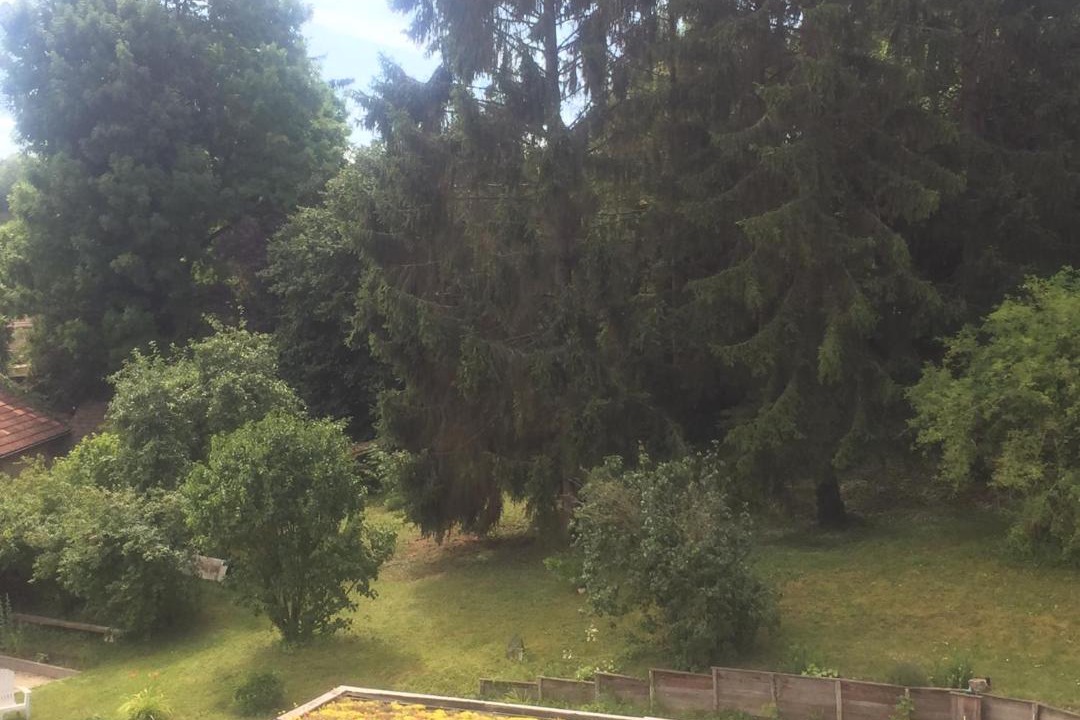 Photo of Others in Thiaucourt