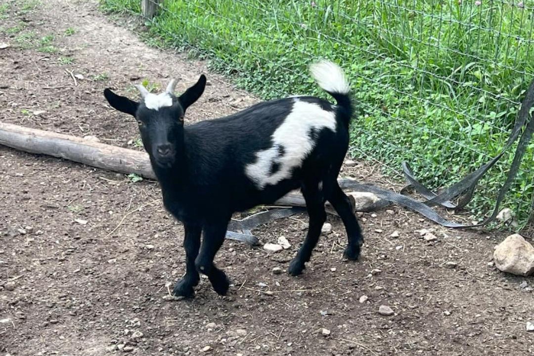 Photo of Others in Winston